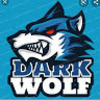 Dark wolf - @pennjuan2323 - Poshmark